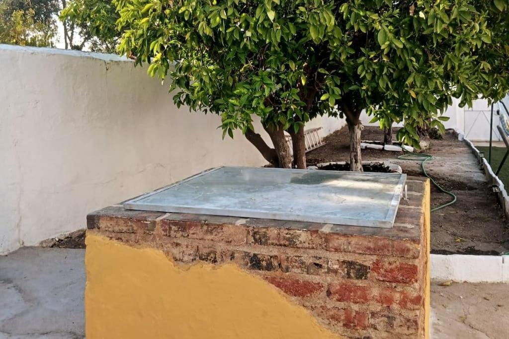 Pedrogao  A Casa Do Barqueiro- Alentejo 빌라 외부 사진